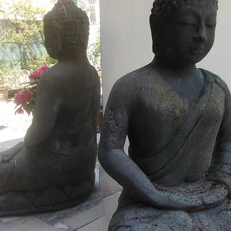 Terrasse Proche Palais Des Festivals * 戛纳